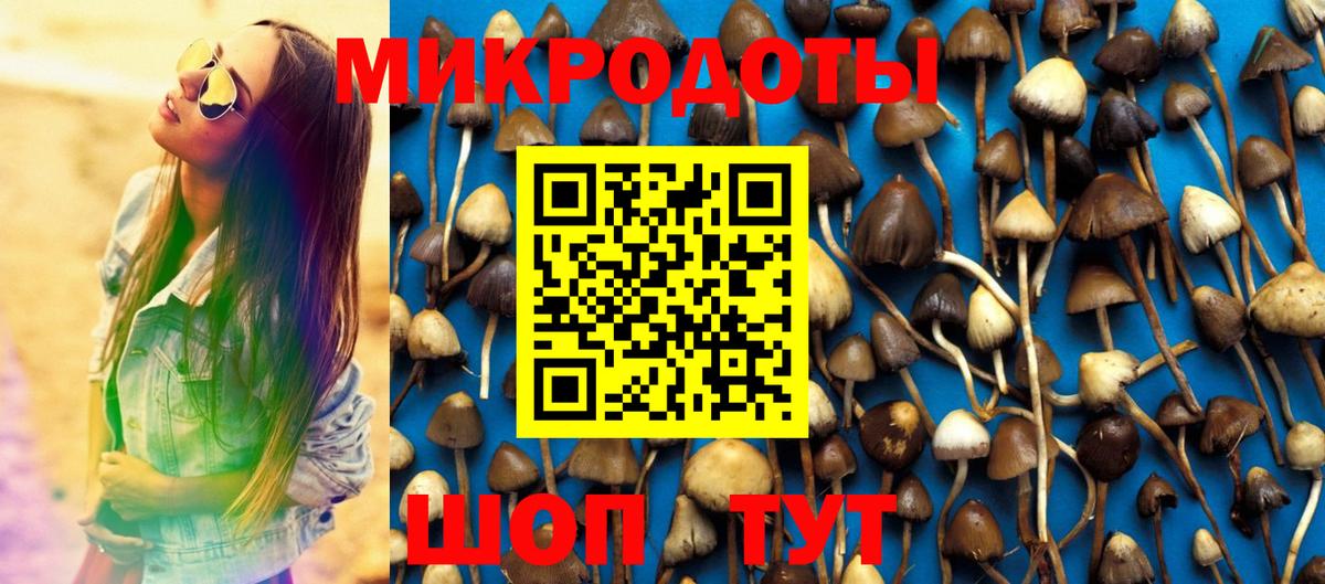 Псилоцибиновые грибы мухоморы  Вход с VPN  Псилоцибиновые грибы MAGIC MUSHROOMS  Азнакаево 